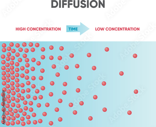 Diffusion. Scientific diagram of diffusion. Movement of molecules, ions, and atoms from an area of higher or high concentration to an area of lower or low concentration.