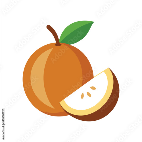 Fresh Sapodilla with Half Slices Vector Art Illustration