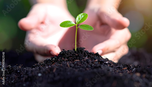 Startups focusing on eco-friendly practices nurture young plants to promote sustainability