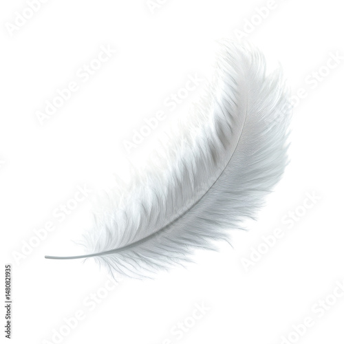 Elegant White Feather Isolated on Black Background, Perfect for Artistic and Natural Themes