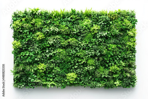 Living wall, dense with assorted green foliage, framed against white backdrop