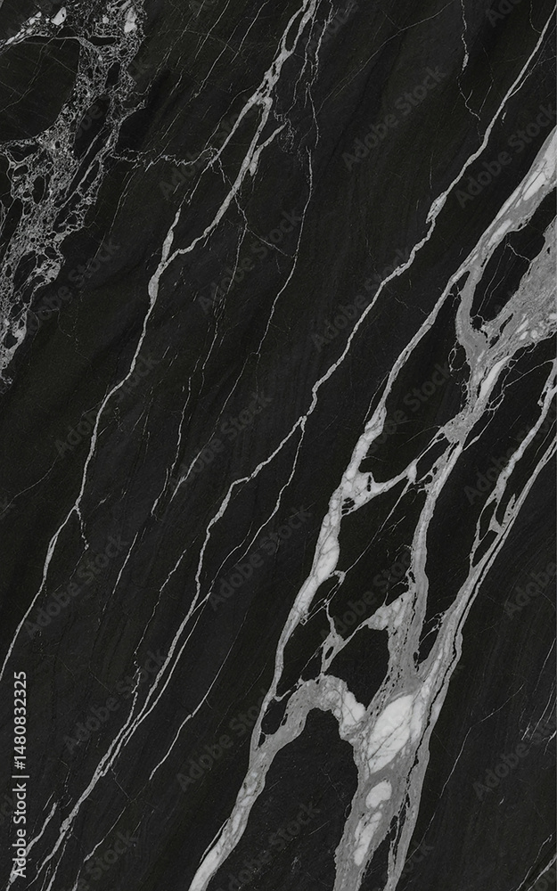 Fototapeta premium Elegant Black Marquina Marble with Bold White Veining