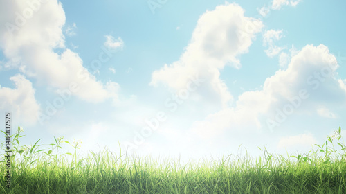 Lush green grass under a bright blue sky filled with fluffy white clouds, serene