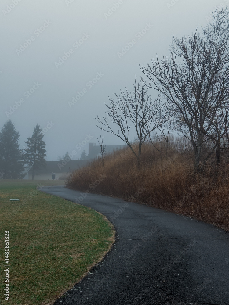 Fototapeta premium road in the morning