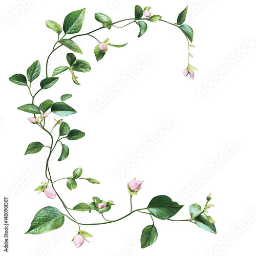Wallpaper Mural Floral vine with buds isolated on transparent background Torontodigital.ca