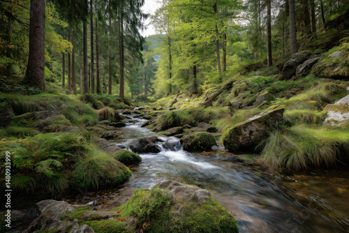 Mountain forest stream flowing through rocks and green moss under tall trees in peaceful woodland photo