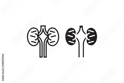 Kidney organ icons with ureter structure Vector