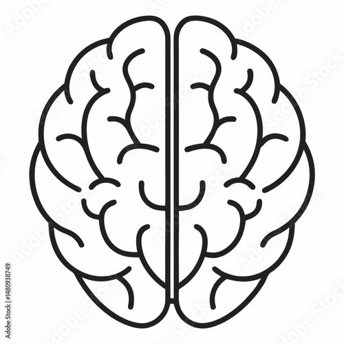 Human brain anatomy vector illustration showcasing intricate neural networks and cognitive functions