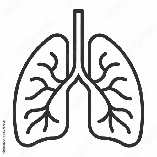 A line drawing of lungs with their bronchi.