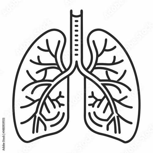 A line drawing of lungs with their bronchi.