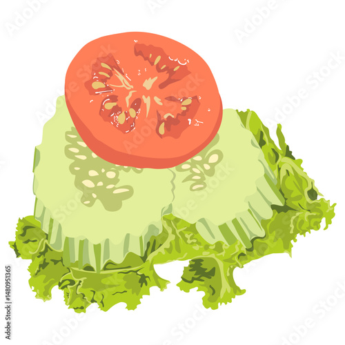 vector illustration of a tomato fresh green lettuce leaf and cucumber
