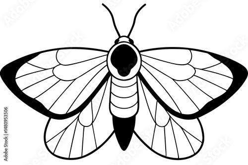moth silhouette line art vector illustration with a white background