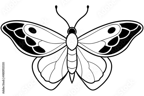 moth silhouette line art vector illustration with a white background