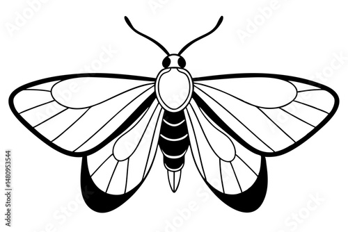 moth silhouette line art vector illustration with a white background