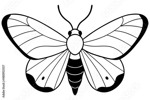 moth silhouette line art vector illustration with a white background