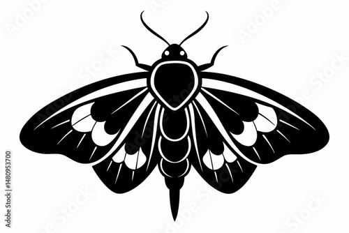 moth silhouette line art vector illustration with a white background