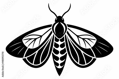 moth silhouette line art vector illustration with a white background
