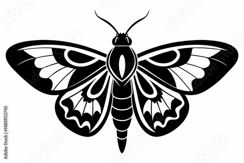 moth silhouette line art vector illustration with a white background