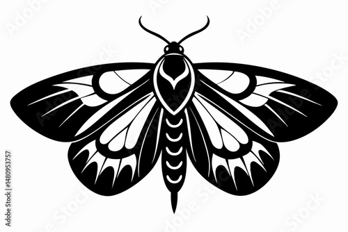 moth silhouette line art vector illustration with a white background