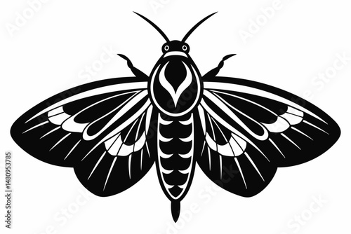 moth silhouette line art vector illustration with a white background