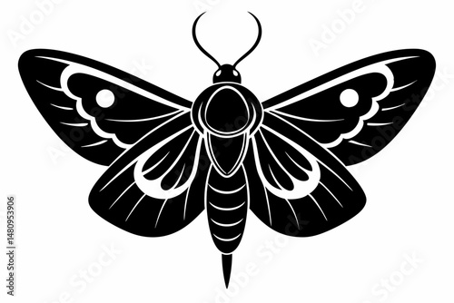 moth silhouette line art vector illustration with a white background