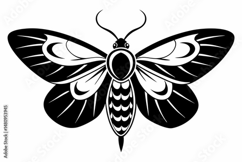 moth silhouette line art vector illustration with a white background