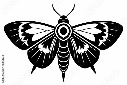 moth silhouette line art vector illustration with a white background
