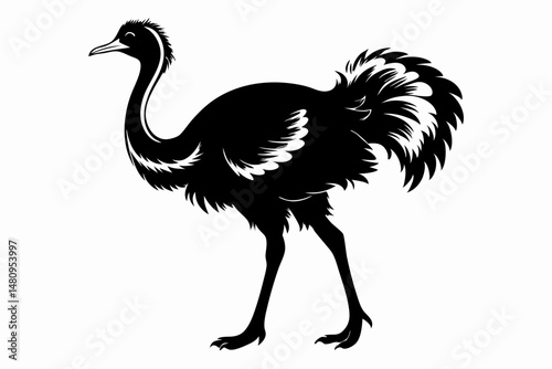 ostrich silhouette line art vector illustration with a white background