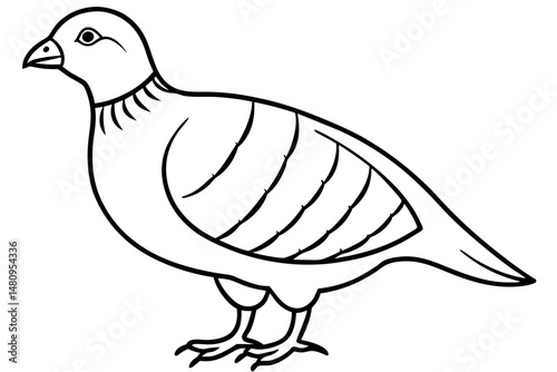 partridge silhouette line art vector illustration with a white background
