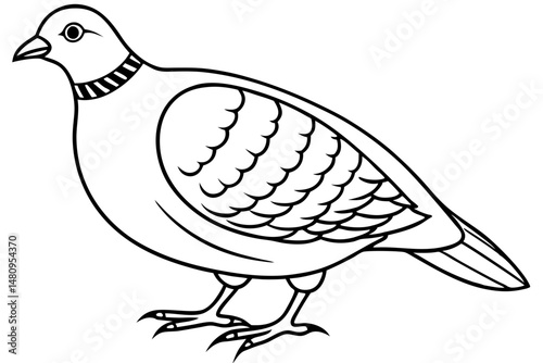 partridge silhouette line art vector illustration with a white background