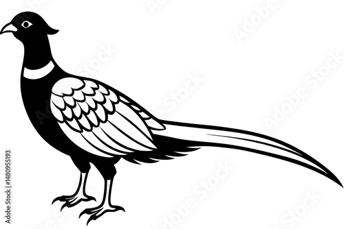 pheasant silhouette line art vector illustration with a white background