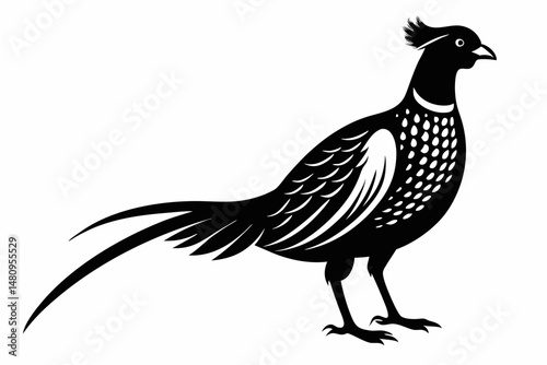 pheasant silhouette line art vector illustration with a white background