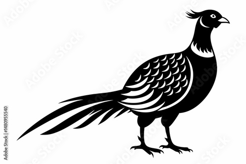 pheasant silhouette line art vector illustration with a white background