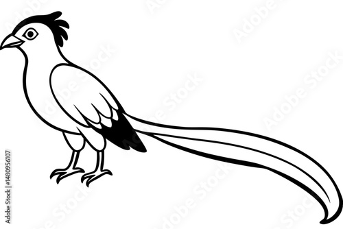 quetzal silhouette line art vector illustration with a white background