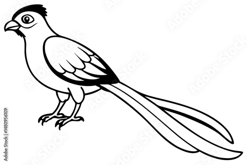 quetzal silhouette line art vector illustration with a white background