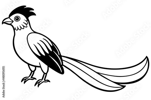 quetzal silhouette line art vector illustration with a white background