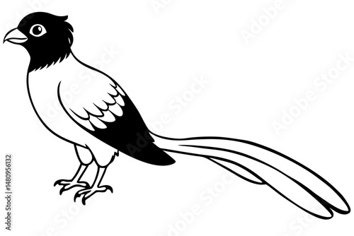 quetzal silhouette line art vector illustration with a white background