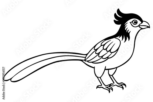 quetzal silhouette line art vector illustration with a white background