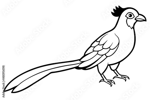 quetzal silhouette line art vector illustration with a white background