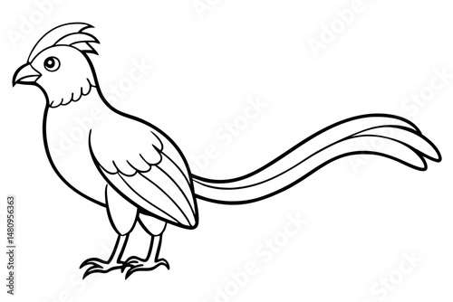 quetzal silhouette line art vector illustration with a white background