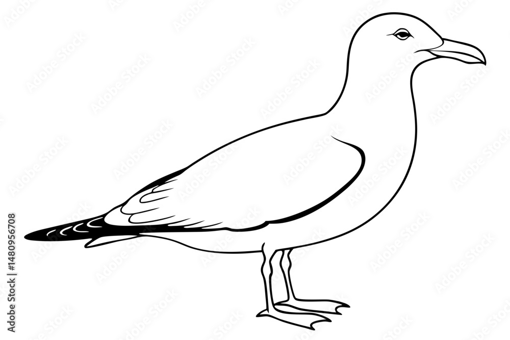Obraz premium seagull silhouette line art vector illustration with a white background