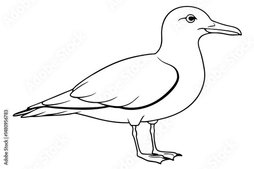 seagull silhouette line art vector illustration with a white background