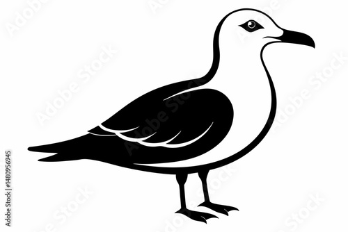 seagull silhouette line art vector illustration with a white background
