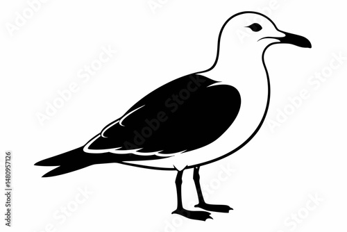 seagull silhouette line art vector illustration with a white background