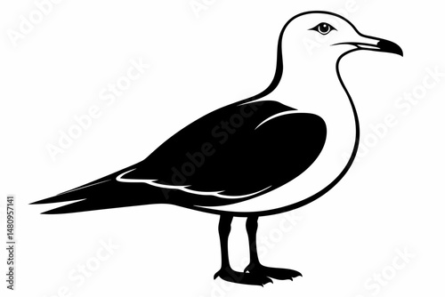 seagull silhouette line art vector illustration with a white background