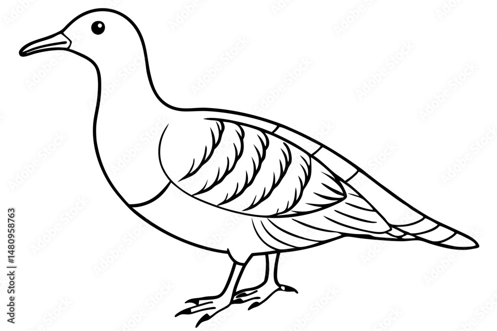 Fototapeta premium woodcock silhouette line art vector illustration with a white background