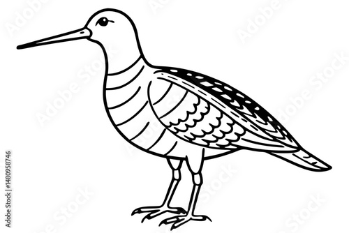 woodcock silhouette line art vector illustration with a white background