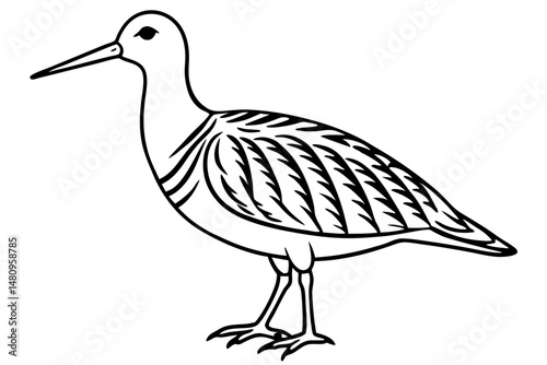 woodcock silhouette line art vector illustration with a white background