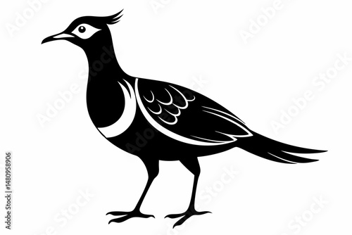 woodcock silhouette line art vector illustration with a white background