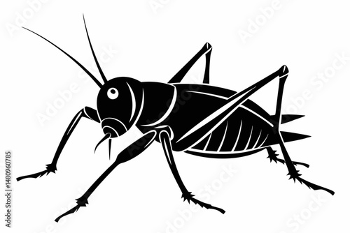 katydid silhouette line art vector illustration with a white background